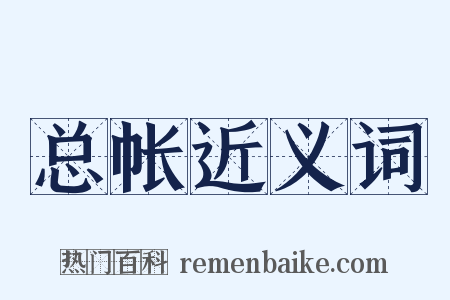 总帐近义词是什么意思的图片